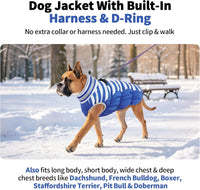 Dog Winter Jacket Cozy Reflective Waterproof Windproof Warm Pet - XXX-Large / Blue White Stripes - image 3