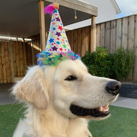 Huxley & Kent Party Crown Hat for Dogs & Cats - Small / Superstar - image 4