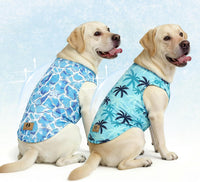 Halloween Dog Shirts for Large Dogs - Ice Cube & Coconut / X-Large(Chest 26", Back 19")
