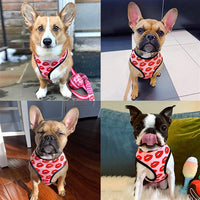 Luxury Red Lips Breathable Mesh Harness Chest Back + Traction - BIG FRENCHIES