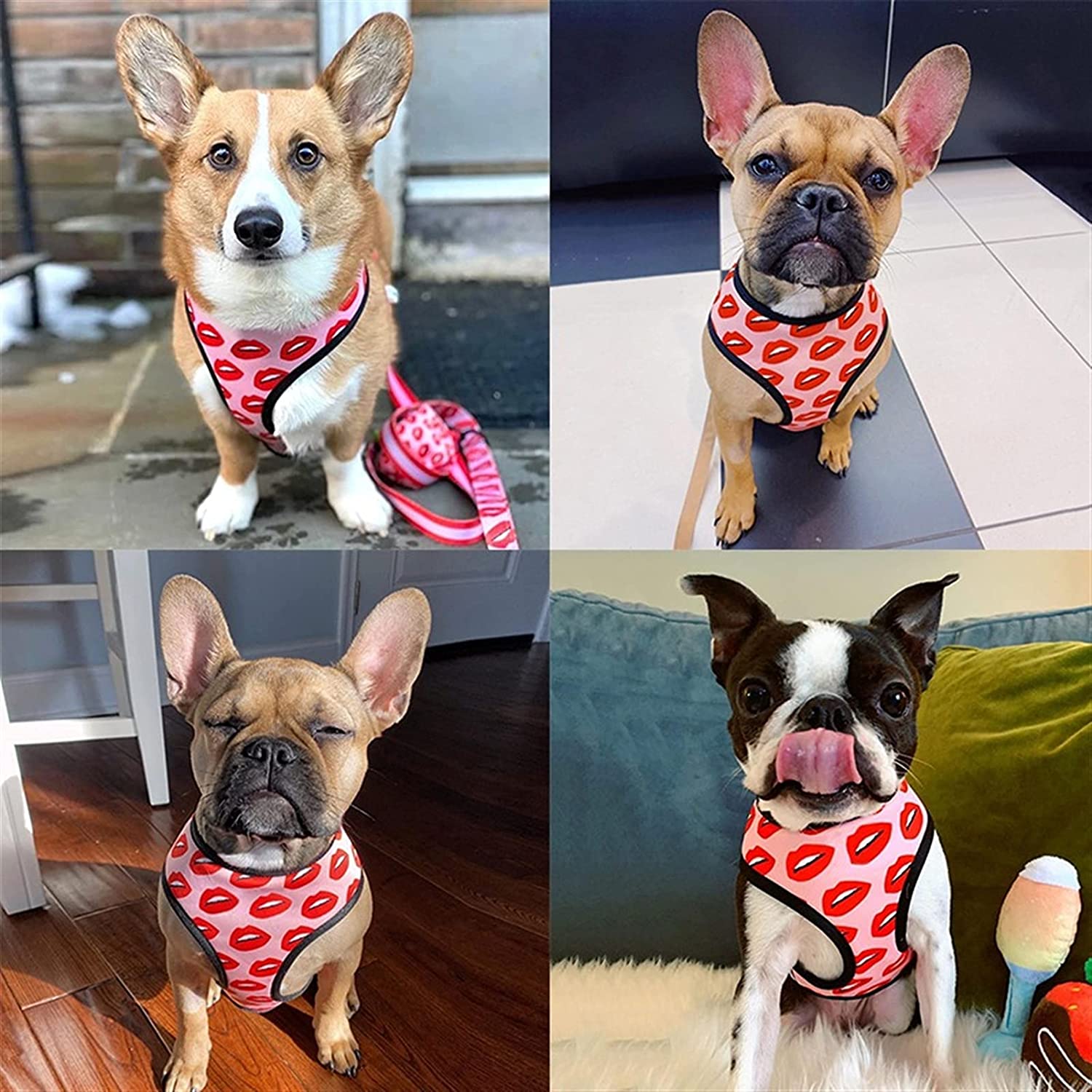Luxury Red Lips Breathable Mesh Harness Chest Back + Traction - BIG FRENCHIES