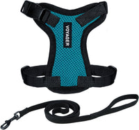 Voyager Escape-Proof Step-in Harness & Leash, Moss Green - Turquoise/Black Trim / XXXS (Chest: 10.5 - 13")