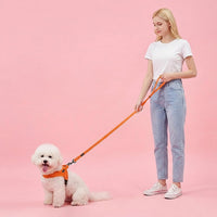 6FT Reflective Dog Leash for Small Medium Dogs, 5/8" Width - Orange / 5/8''x 6 FT - image 2