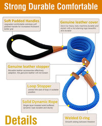 Dog Leash Slip Lead Braided Rope Pet Training Loop Leashes 5ft 6ft 8ft – Essentials for Dogs - Blue / Slip Lead-3/8in x 6ft Small - image 2