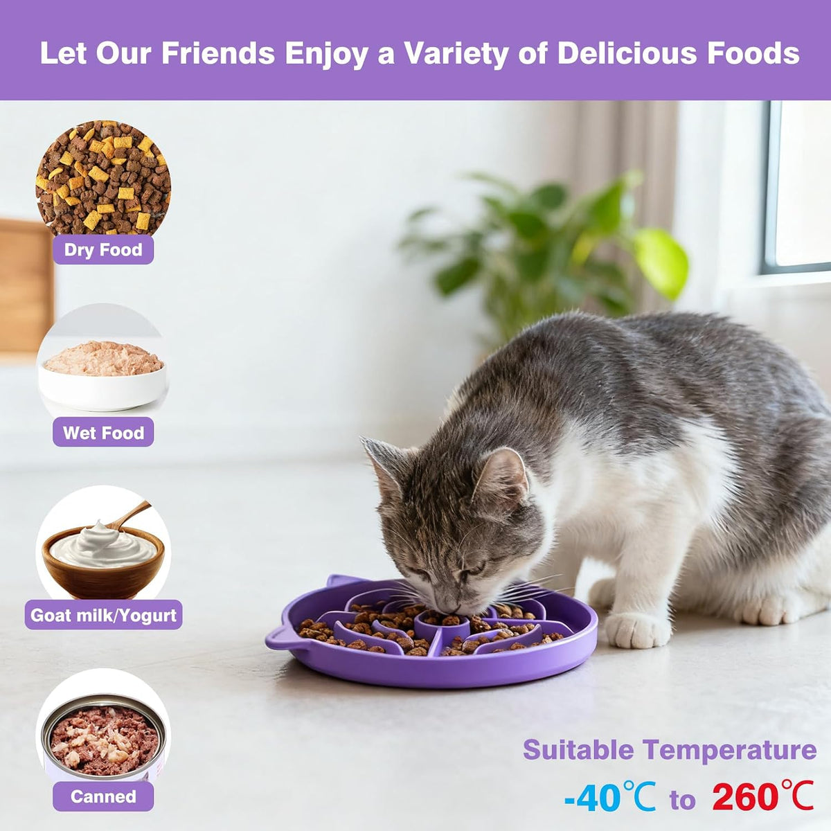 MateeyLife Slow Feeder Cat Bowl, Non-Slip Silicone Cat Dish - Purple + Cyan - image 4