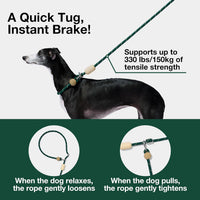 VETRESKA Hands-Free Dog Leash - Santal Forest Green - image 3