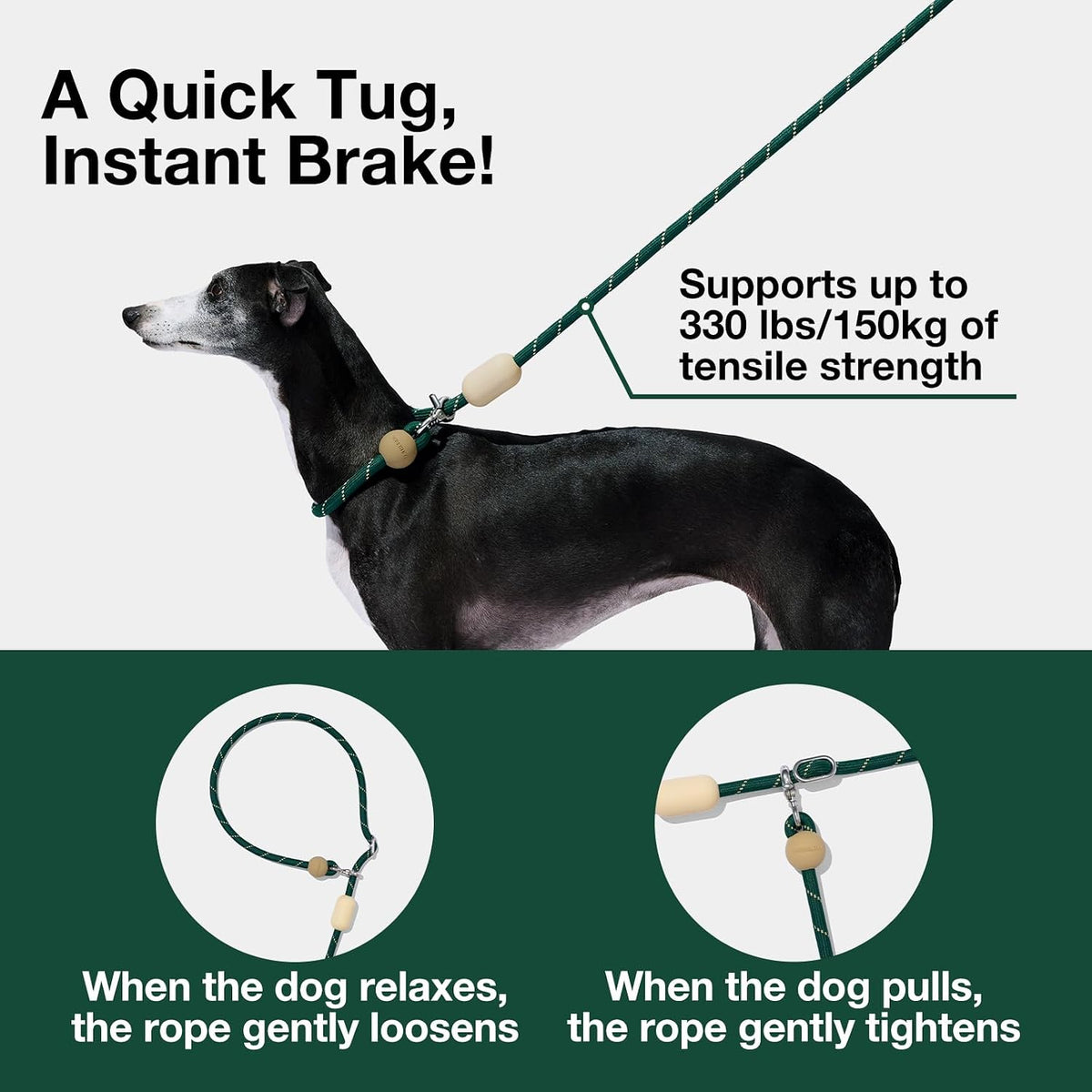 VETRESKA Hands-Free Dog Leash - Santal Forest Green - image 3