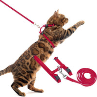 PUPTECK Adjustable Cat Harness and Leash Set Escape Proof Kitten - Medium / Red