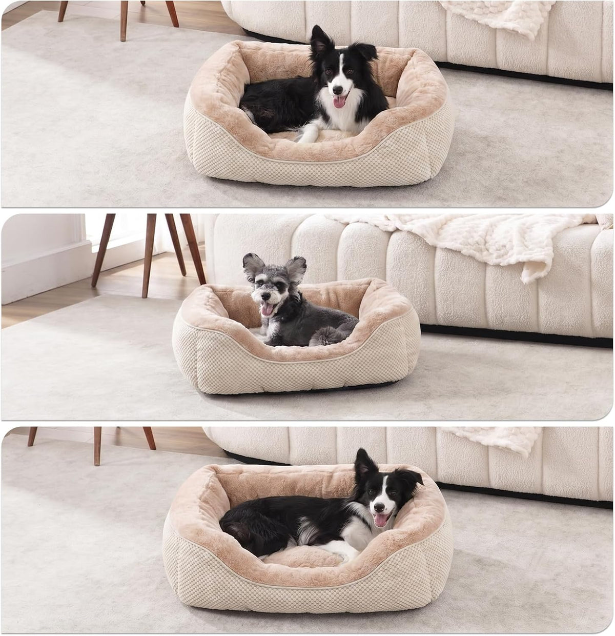 Medium Dog Beds for Medium Dogs Washable - L PLUS (38"x28"x8") / Beige - image 2