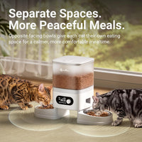 DownyPaws Automatic Cat Feeder 2 Cats - White - image 2