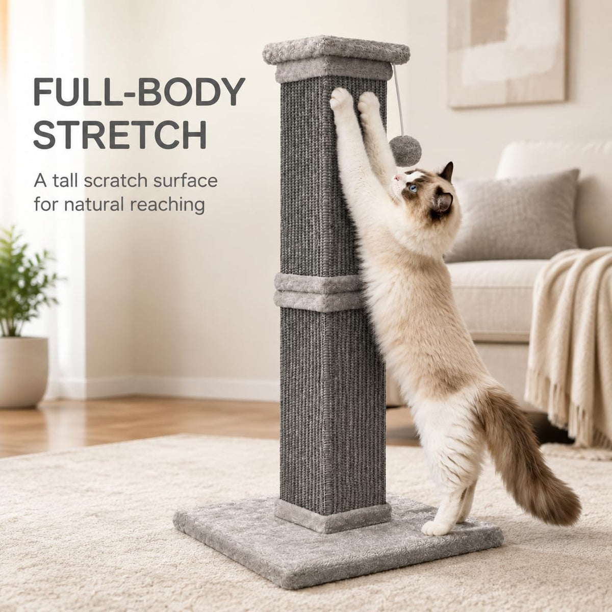 Cat Scratching Post for Indoor Cats - All Grey / Scratcher with Ball - image 2