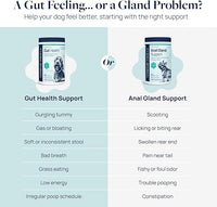 Veterinary Formula Gut Health Supplement for Dogs – Vet-Formulated Probiotic Chews with Digestive Enzymes & Fiber – Smart Vitality Supports Digestive Health, Gut Balance & Stool Quality, 60 Soft Chews