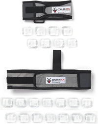 CoolerDog Dog Cooling Vest & Cooling Collar - S - image 2