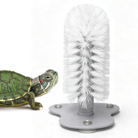 Turtle shell brush with three suction cups mounted inside an aquatic turtle tank