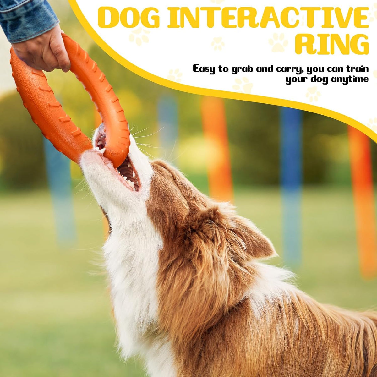 4 Pack 7.48 Inch Dog Ring Toy for Large Medium Dog Training - Multicolored / 7.48 Inch - image 4
