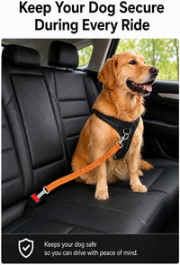 Dog Seat Belt 2Pcs, Retractable Pet Car Harness - Orange - image 2