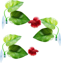 CousDUoBe 2 Pack Betta Fish Leaf Pad Improves Betta's Health - 3 Pack
