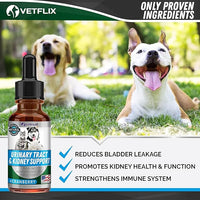 Cranberry Dog & Cat UTI Treatment - Best UTI for Pets - Made in USA - Dog & Cat Kidney Support - Cat Bladder Drops - Pet Immune Health Supplement - Marshmallow, Dandelion Root, Pumpkin Seed - 2 Fl Oz