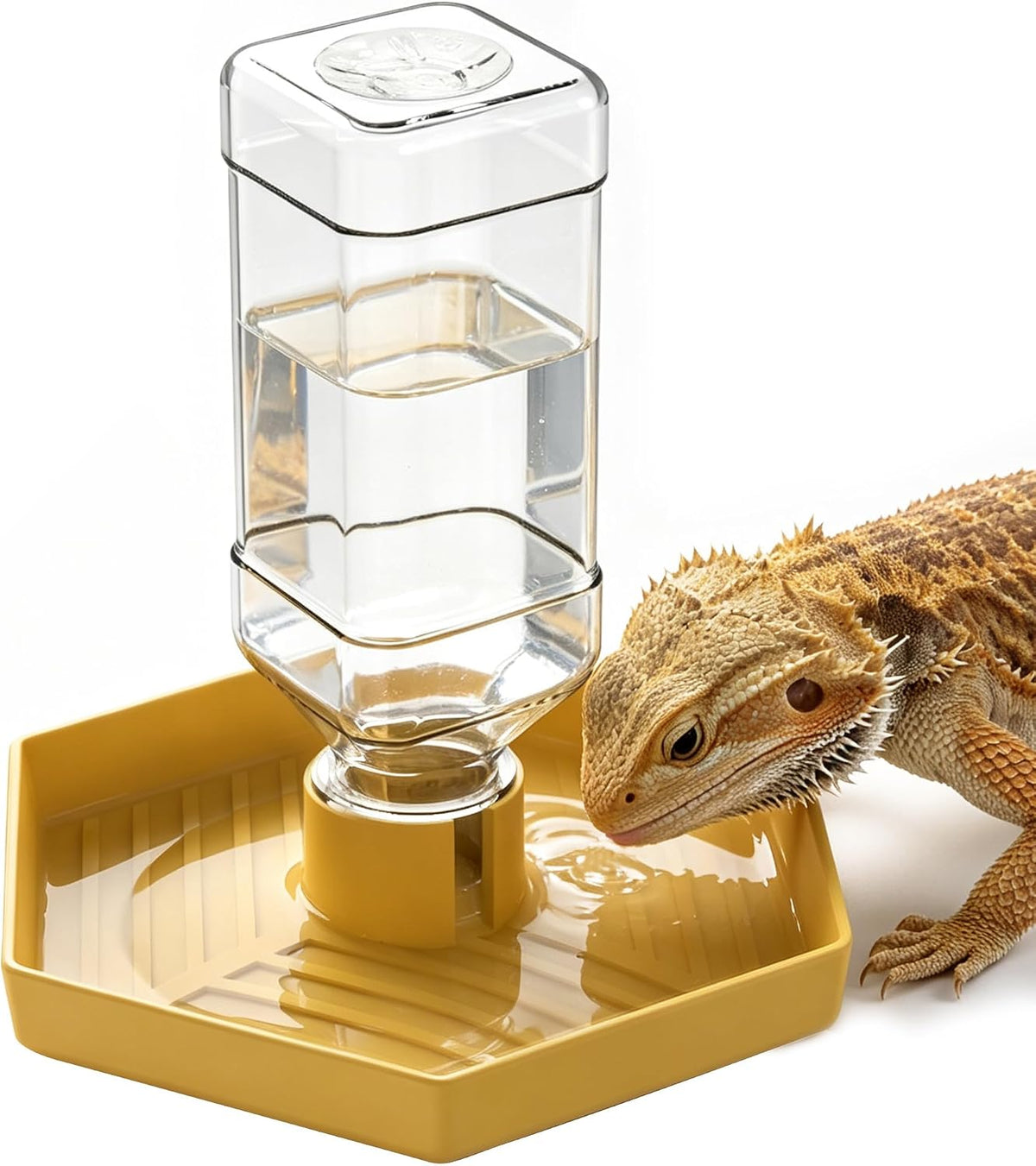 Reptile Water Dispenser Bowl for Bearded Dragon Tortoise – Essentials for Reptiles And Amphibians - Yellow / L