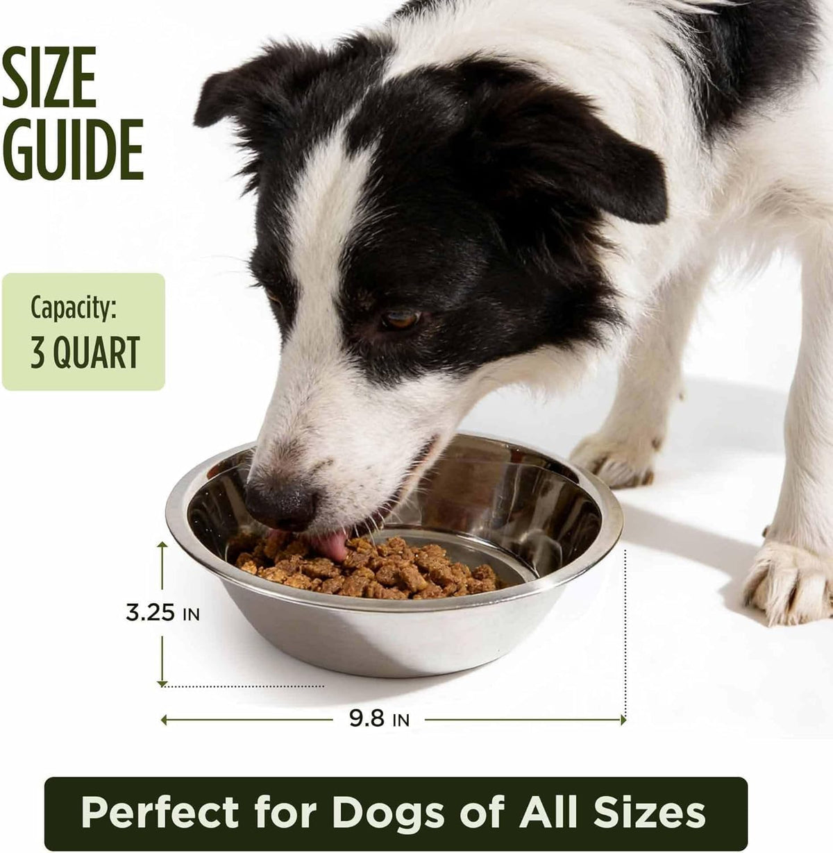 Scott Pet Bowl, Stainless Steel Pet Water and Food Bowl - 3 Quart (Pack of 2) - image 2