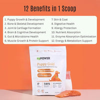 K9 Power Puppy Gold 1 lb - Supplement for Growing Puppies & Nursing Mothers - Essential Nutrients for Healthy Growth & Development - 45 Scoops