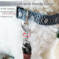 WYuZe 5ft Puppy Leash for Small Dogs Cats - Black / 16 FT (3~26 lbs) - image 2