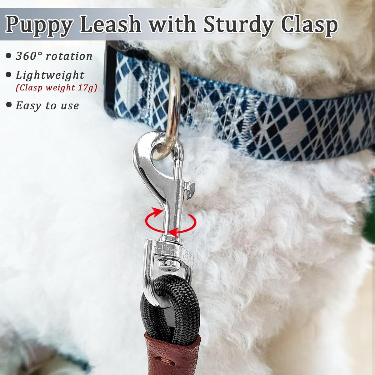 WYuZe 5ft Puppy Leash for Small Dogs Cats - Black / 16 FT (3~26 lbs) - image 2