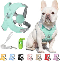 Patas Lague Dog Harness Medium Sized Dog Pet Vest with Leash Set Pink - Green / S (Neck 18.1-21.2'' Chest 21.2-25.2'')