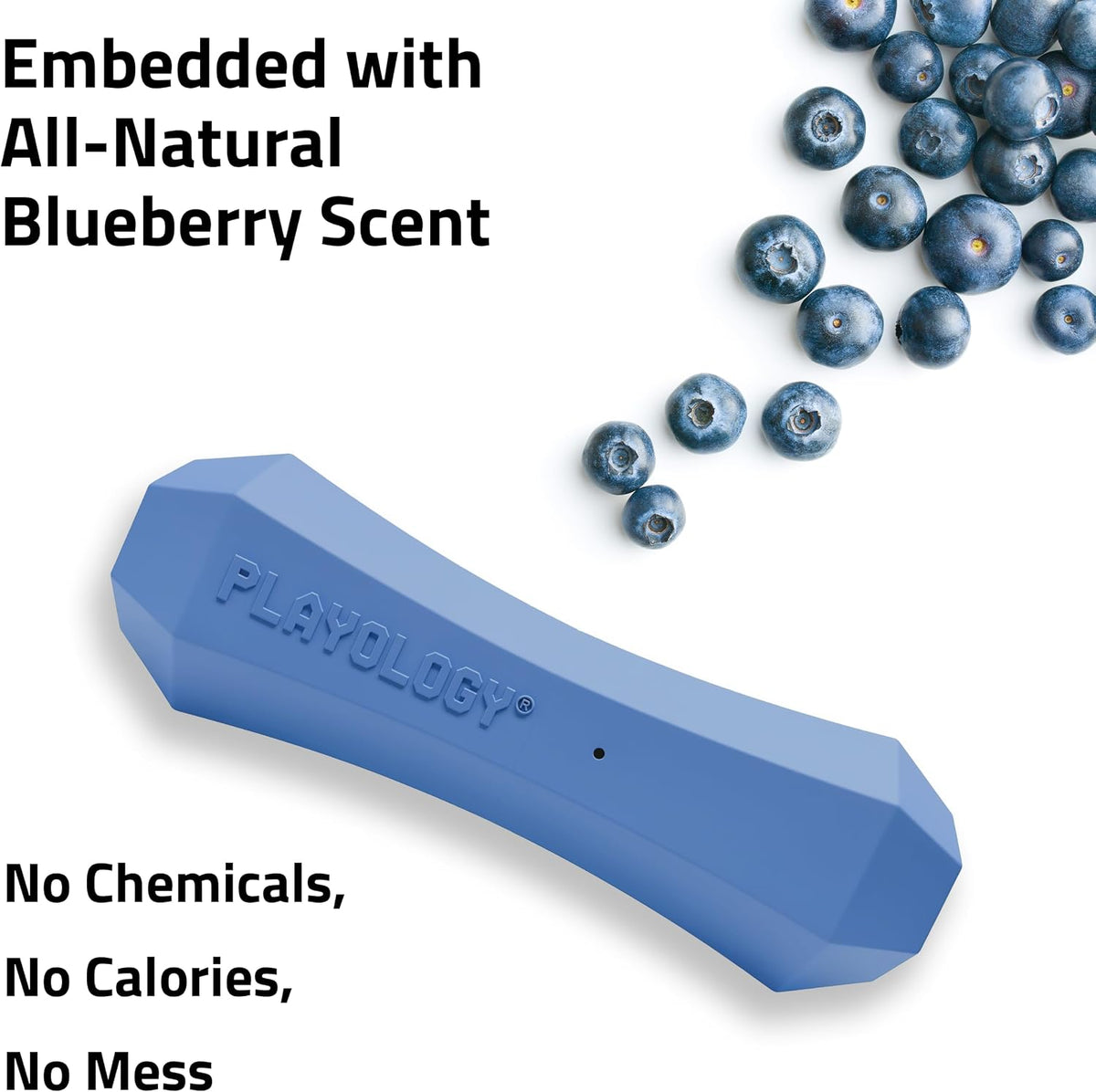 Playology Squeaky Chew Stick Scented Dog Toy - Jumbo / Blueberry - image 4