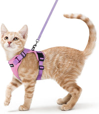 rabbitgoo Cat Harness and Leash Set, Escape Proof Vest - Xs / Pink & Light Purple