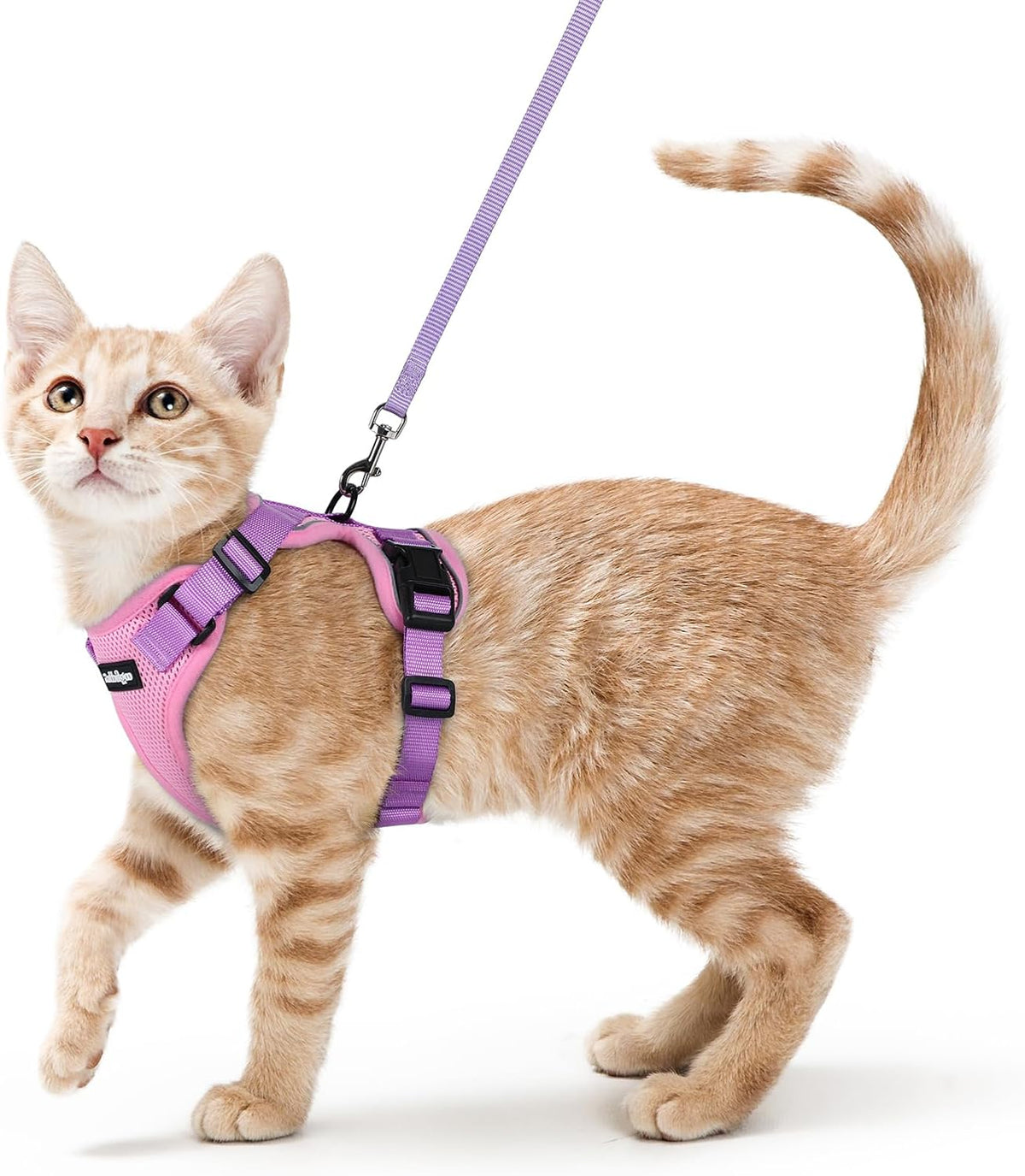 rabbitgoo Cat Harness and Leash Set, Escape Proof Vest - Xs / Pink & Light Purple