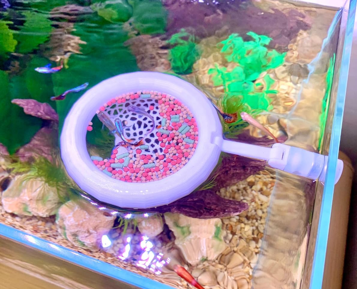 2pcs Wood Fish Feeding Ring for Aquarium，Floating Betta Hammock - Solid White / 1pcs big magnetic version