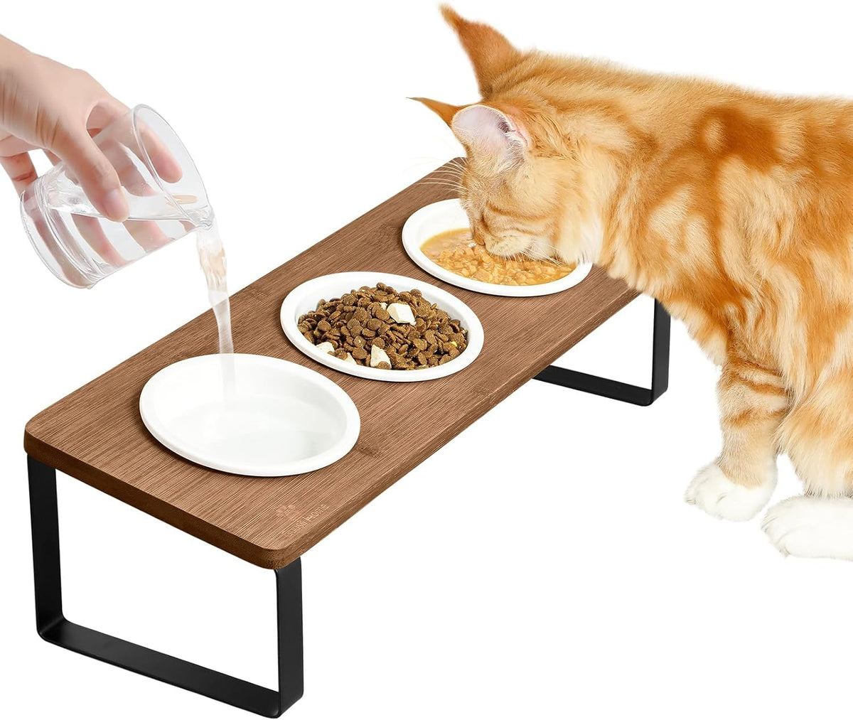 Sunhoo Raised Cat Food Water Bowl Elevated Tilted Kitty Dishes Set - Brown