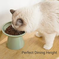 2-Pack Elevated Ceramic Cat Bowls Extra Wide for Food & Water – Essentials for Cats - Sage Green-2 Food Bowl - image 4