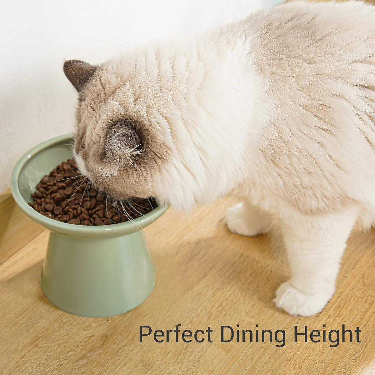 Extra Wide Elevated Ceramic 6.2" Shallow Cat Food Bowl – Essentials for Cats - Sage Green-Shallow - image 2