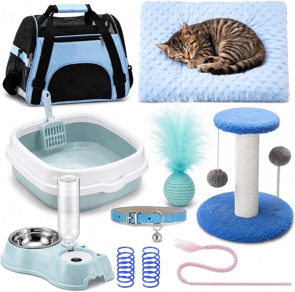 Eccliy 10 Pcs Kitten Starter Kit for Indoor - Classic / Medium / Blue