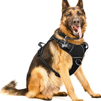 WINSEE Dog/Pet Harnesses No Pull with Dog Collar - X-Large / Black