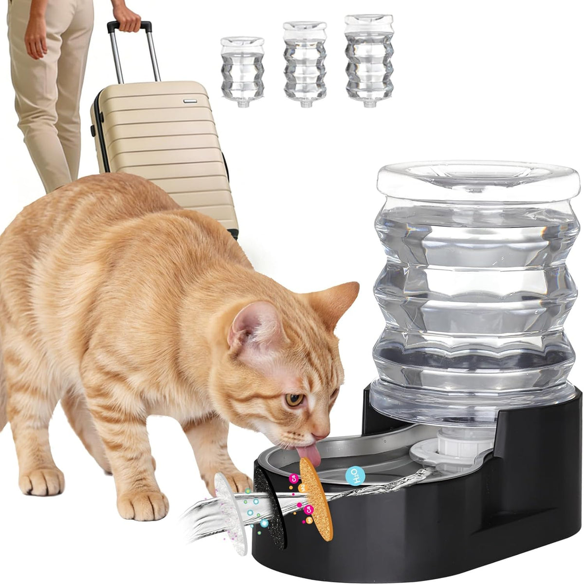 RIZZARI 8L Elevated Dog Water Dispenser: Gravity Waterer for Large - Dark Black / 5L