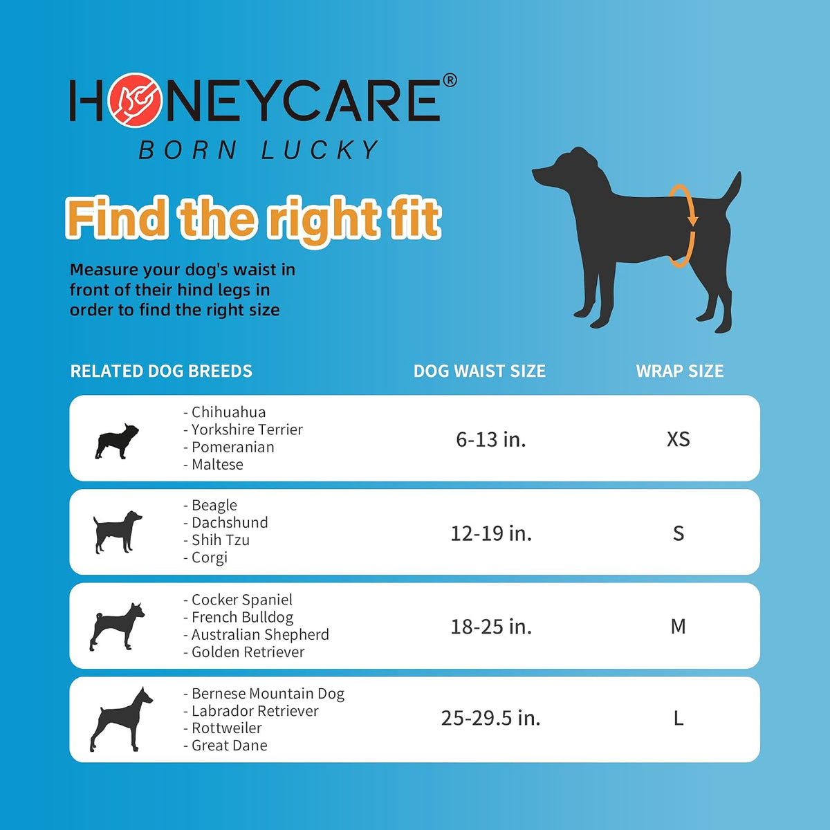 HONEY CARE All-Absorb A26 Male Dog Wrap - 1 / Large (Pack of 2) - image 3