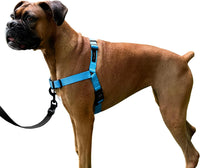 ShawnCo Dream Walk no-pull dog harness with front leash clip