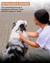 Shedding Tool – Undercoat Rake and Deshedding Brush for Pets, Detangling Brush, Grooming Comb, Cat Brush, Dog brush for Shedding LTANIOLAK
