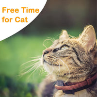 Extra Long Cat Leash for Yard - 30 ft - image 3