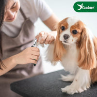 Candure Pet Nail Clippers - Green / Medium to Small pets - image 3