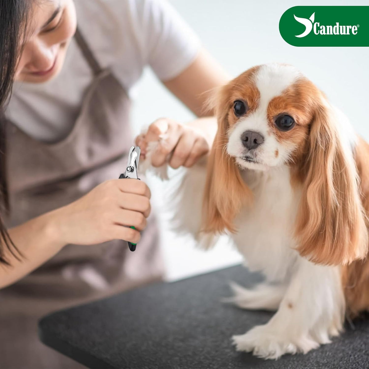 Candure Pet Nail Clippers - Green / Medium to Small pets - image 3