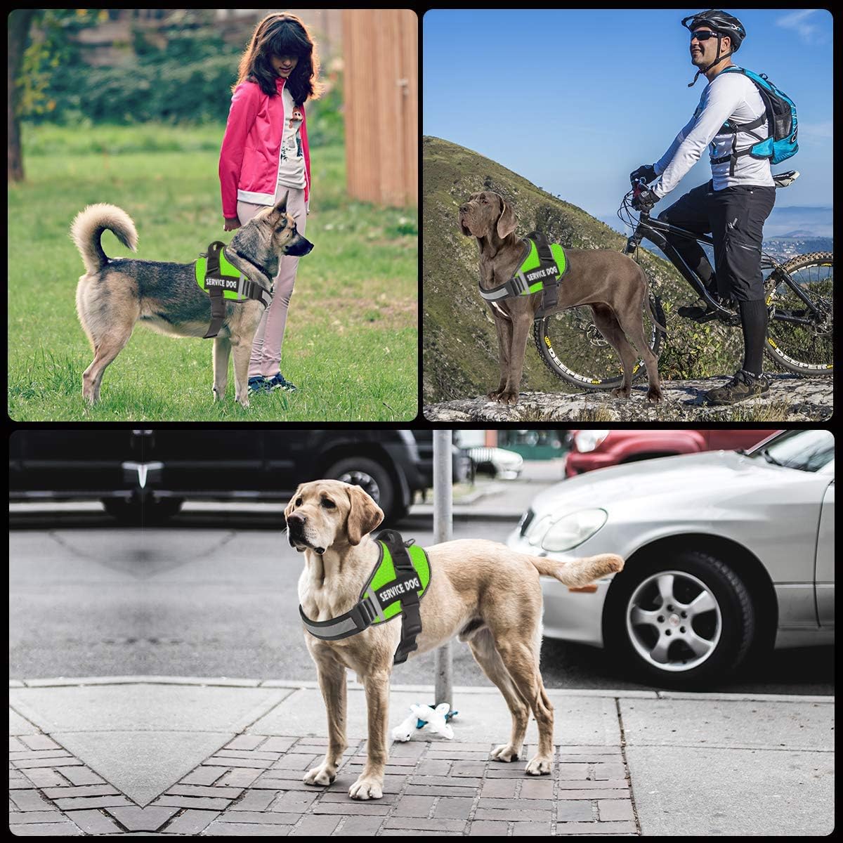 JSXD Dog Harness,No-Pull Service Dog Harness with Handle Adjustable Outdoor Pet Dog Vest 3M - XS / Green - image 3