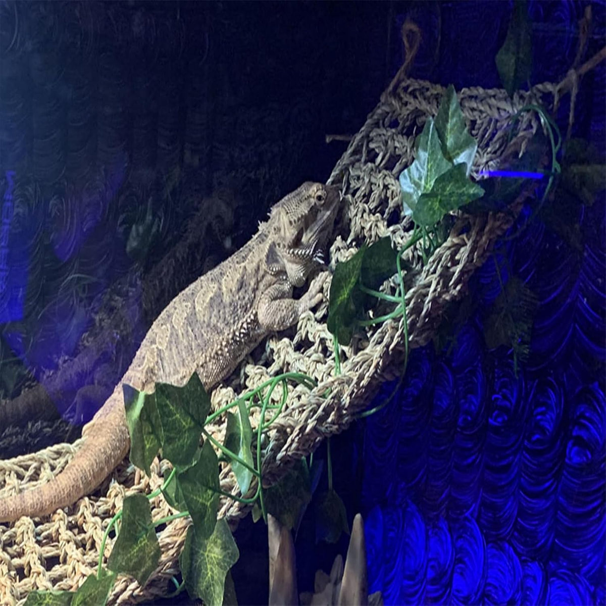 Bearded Dragon Hammock,Lizard Lounger Reptile Tank Hanging Plants Climbing Jungle Vines Flexible - Type：L-Rectangular hammock - image 4