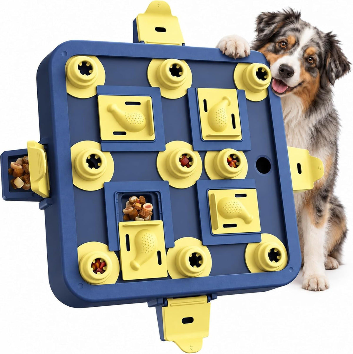 Dog Chess Puzzle Toy, 3-Levels - LEVEL 3 IN 1 / Blue