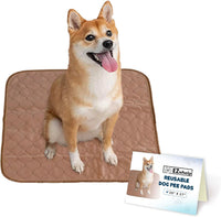 Washable Dog Training Pads, Reusable Waterproof Whelping - 20x27 Inch (Pack of 1, Rounded Corners)