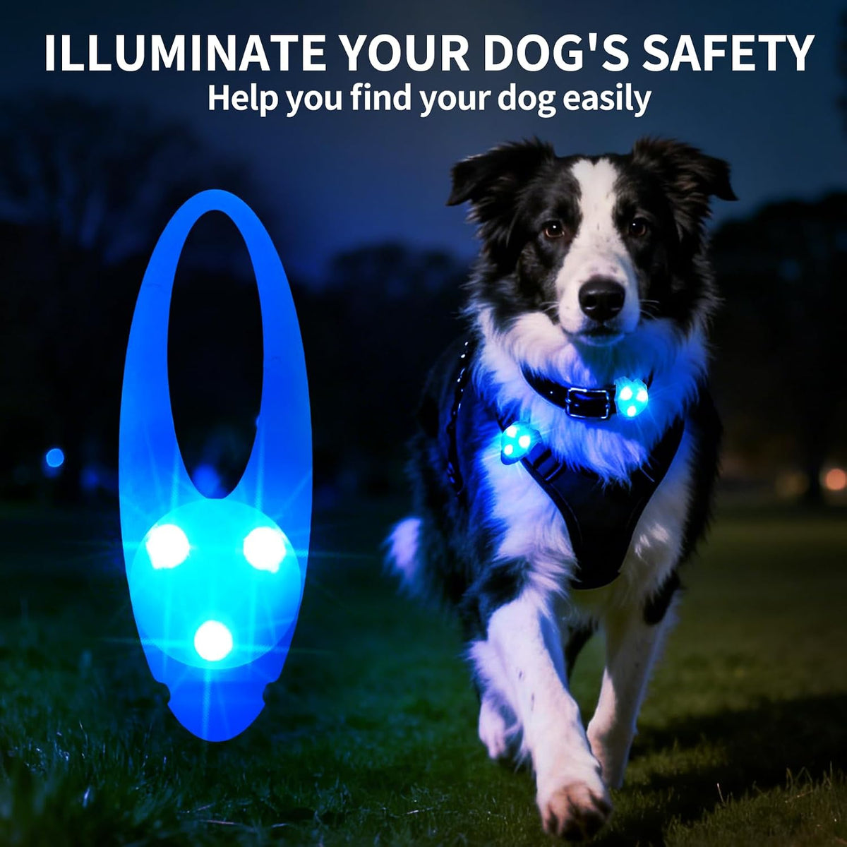 LaRoo Dog Lights, Led Collar Lights for Nighttime Walking - Blue-A - image 2