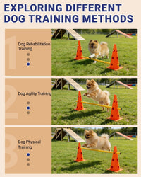Dog Agility Course Backyard Set - 12 IN / Orange - image 3